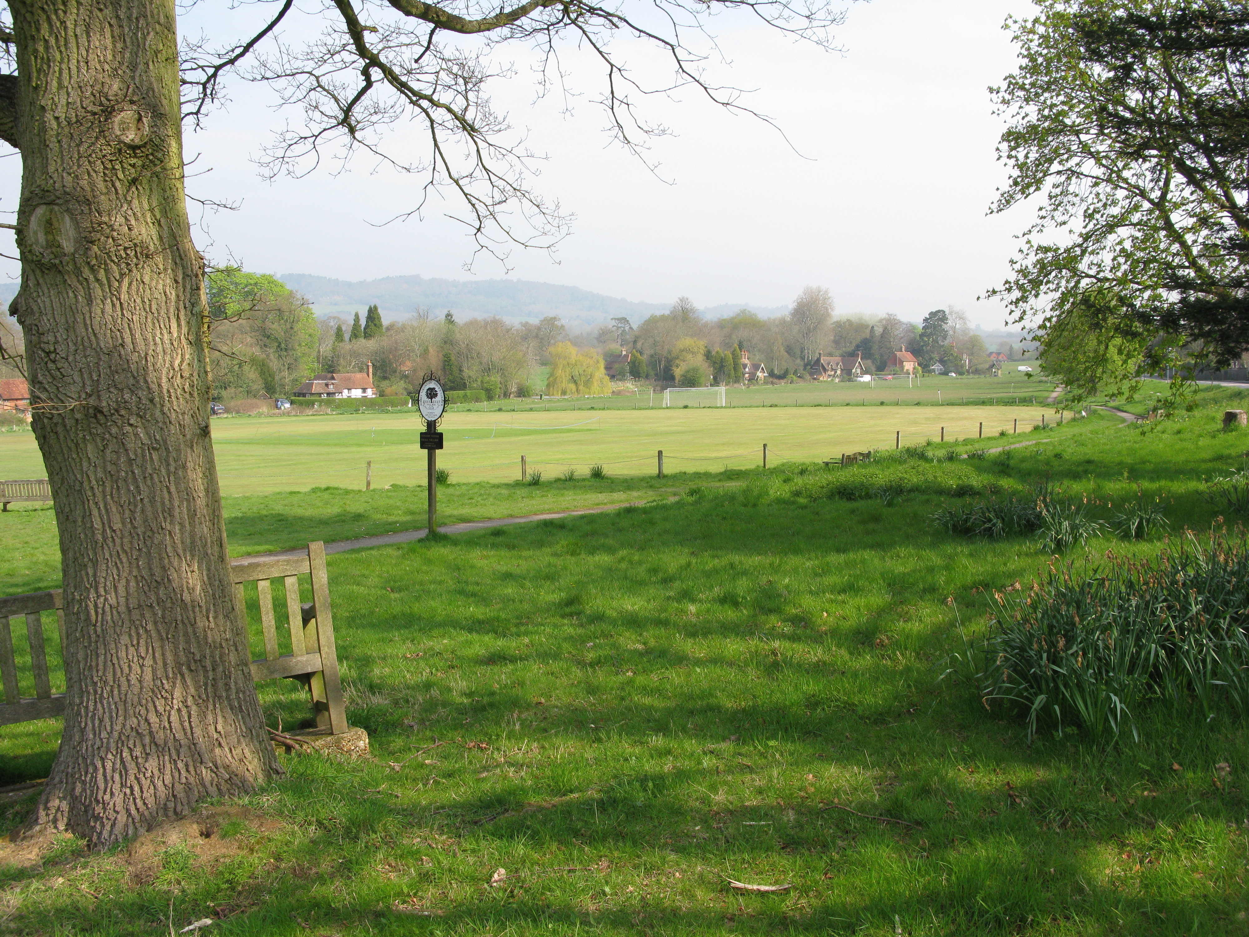 Ockley Green